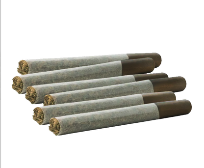 Timewarp Magic Pre-Rolls-01