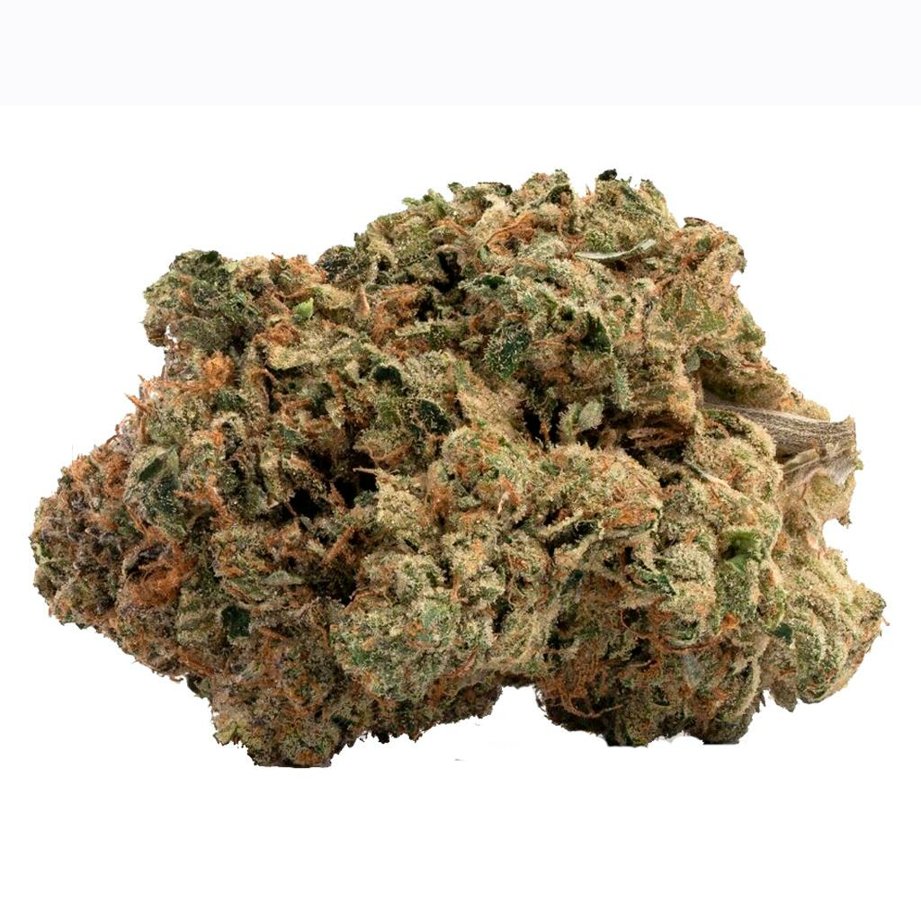 Nighttime Nirvana - UBC Chemo-02