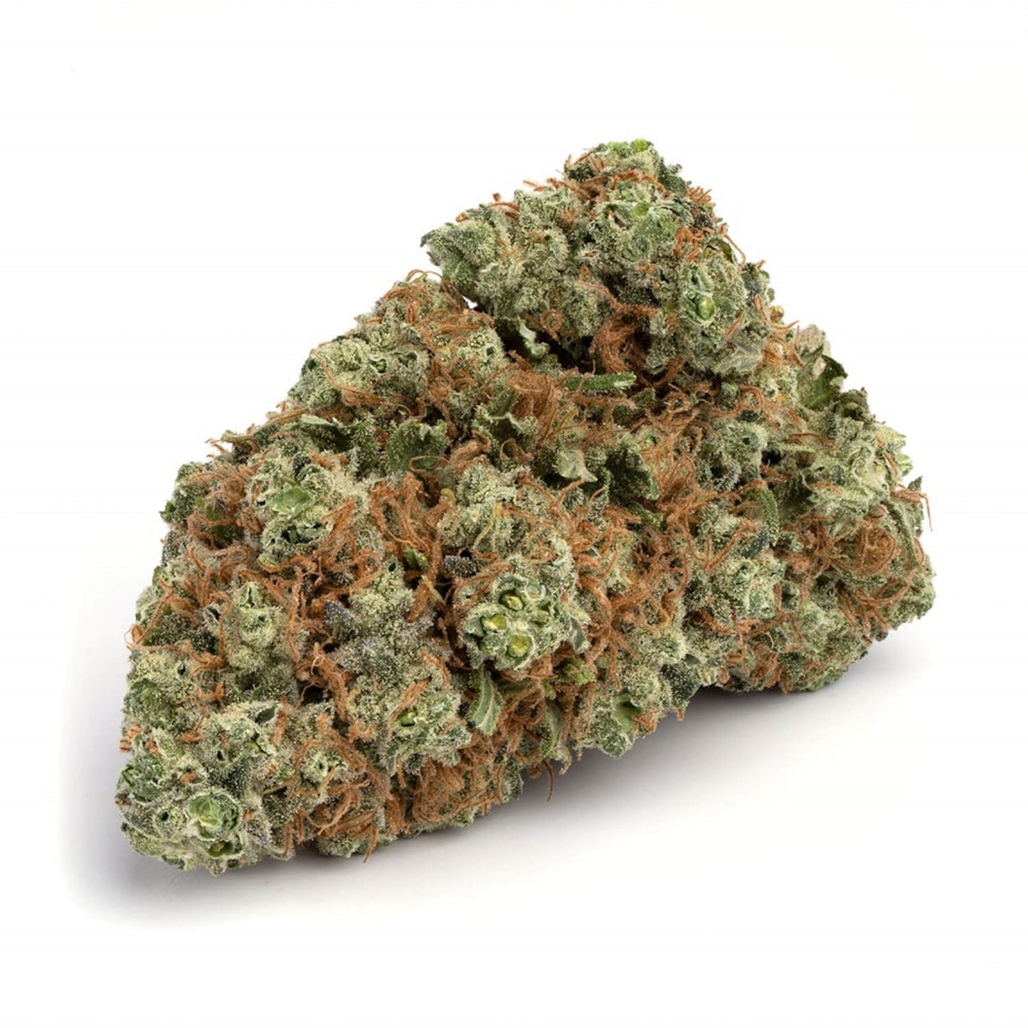Hash Plant-01