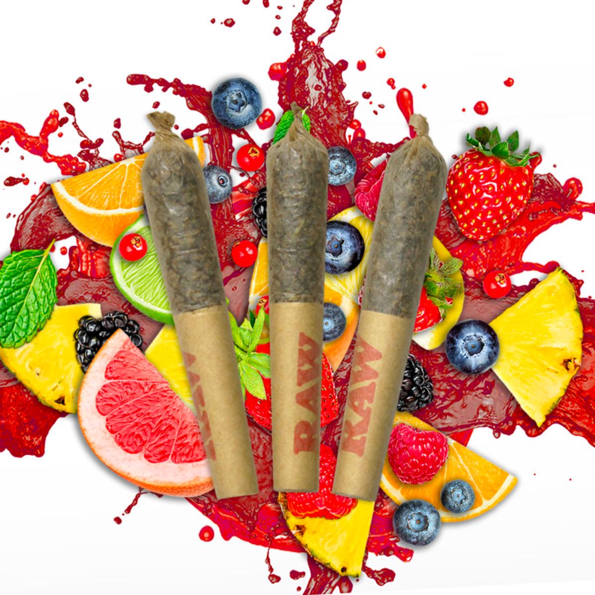 Dab Bods Widows Blood Disti Joints-01
