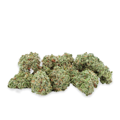 Amsterdam Sativa-01