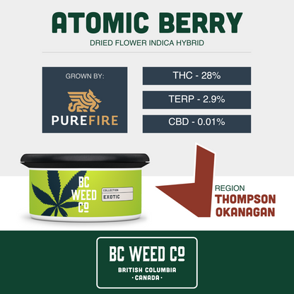 Atomic Berry-02