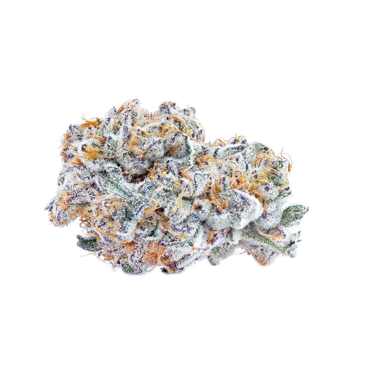 Blueberry Yum Yum-01