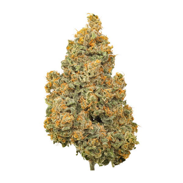 BC Organic Lucy In The Sky-01