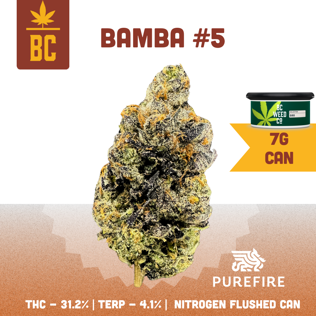Bamba #5-02