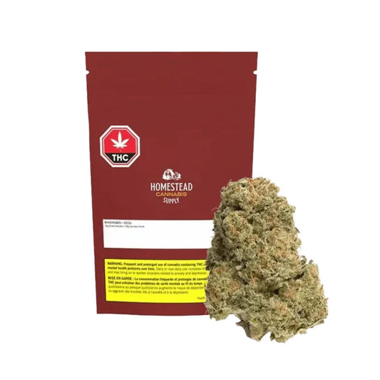 Bandwagon Indica-01