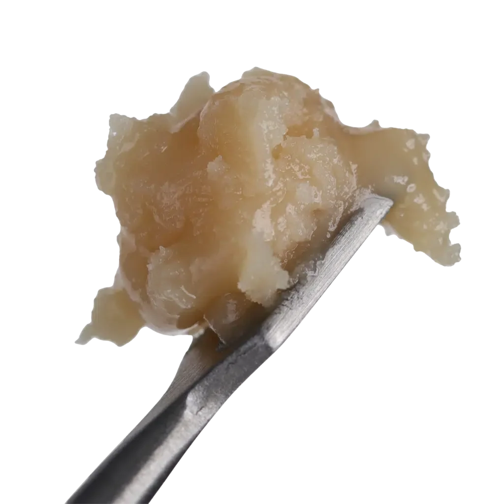 Black Maple #22, Signature Live Rosin, 73µ-159µ-01