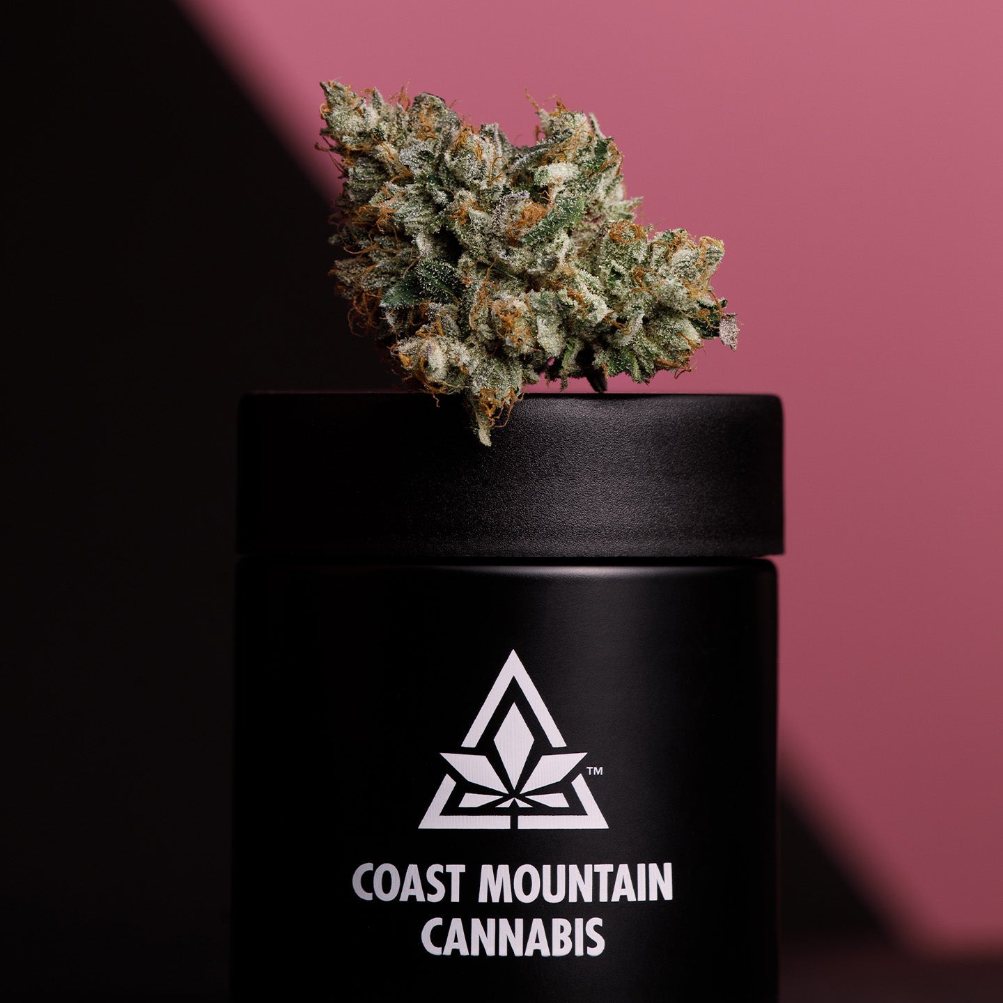 Pemberton Pink-07