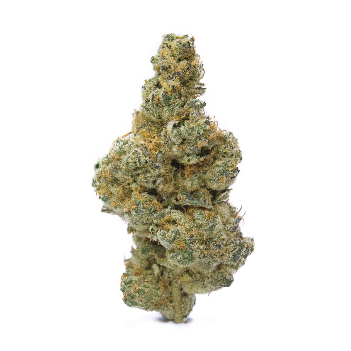 Campfire Gas-01