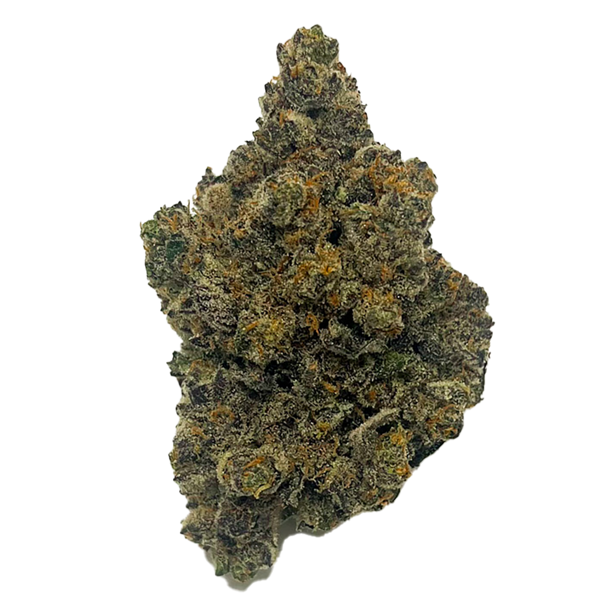 Mango Fuel-01