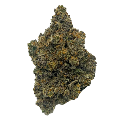 Mango Fuel-01