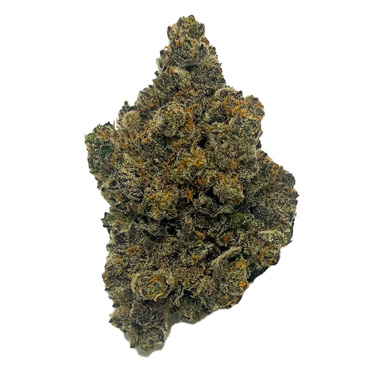 Mango Fuel-01