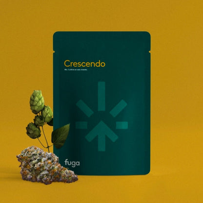 Crescendo-06