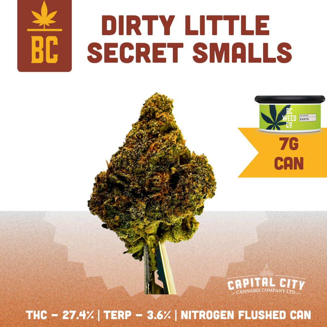 Dirty Little Secret (Smalls)-01