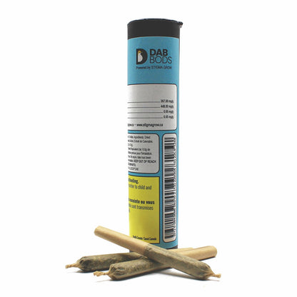 Dab Bods Hawaiian Shatter Infused Pre-Rolls-02