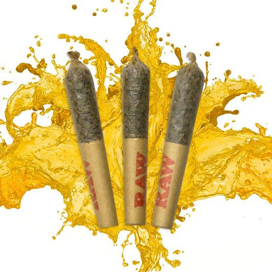 Dab Bods Diesel Kush Resin Infused Pre-Rolls-01