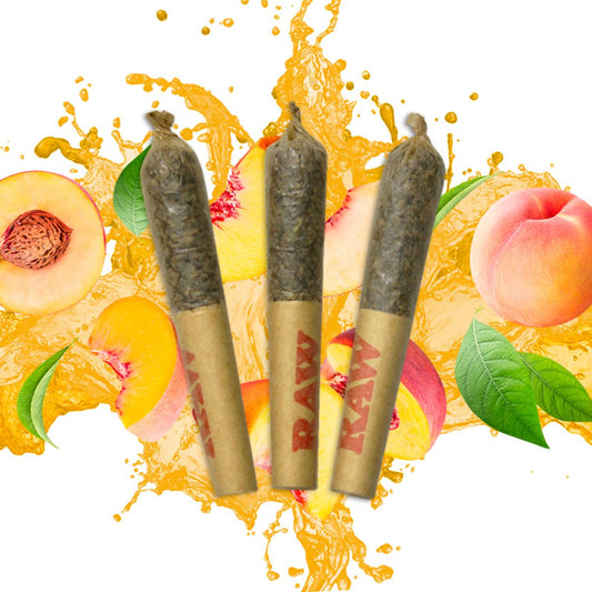 Dab Bods Georgia Peach Infused Pre-Rolls-01