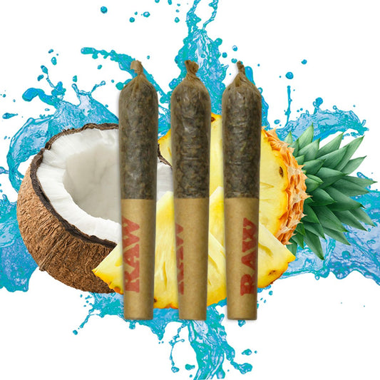 Dab Bods Hawaiian Shatter Infused Pre-Rolls-01