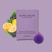 Load image into Gallery viewer, Elevate™- CBD Blackberry Lemon Gummy Drop-01
