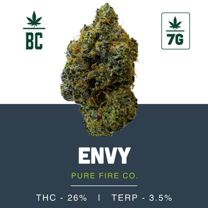 Envy-03