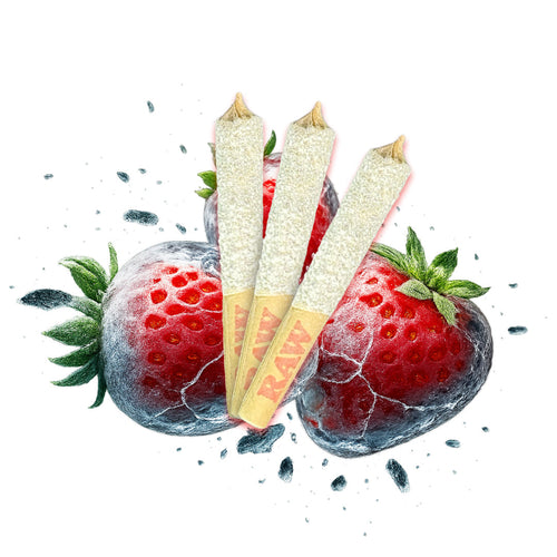 Frost Factory Diamond Dusted Infused Pre-Roll Variety Pack-01