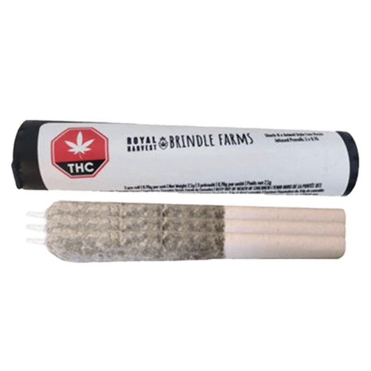 Frosted Fruit Cake x Hive Live Rosin Infused Pre-Rolls-01