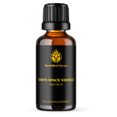 God's Space Needle Oil-01
