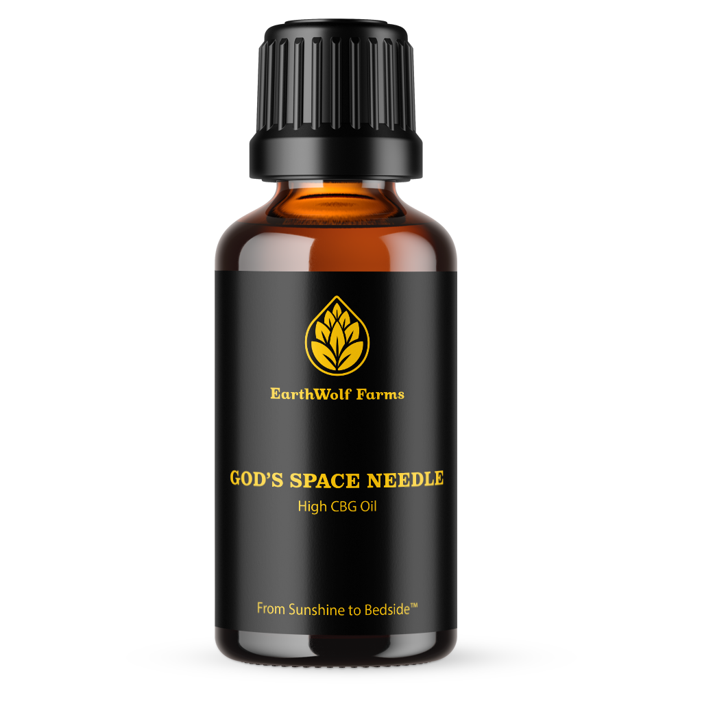 God's Space Needle Oil-01