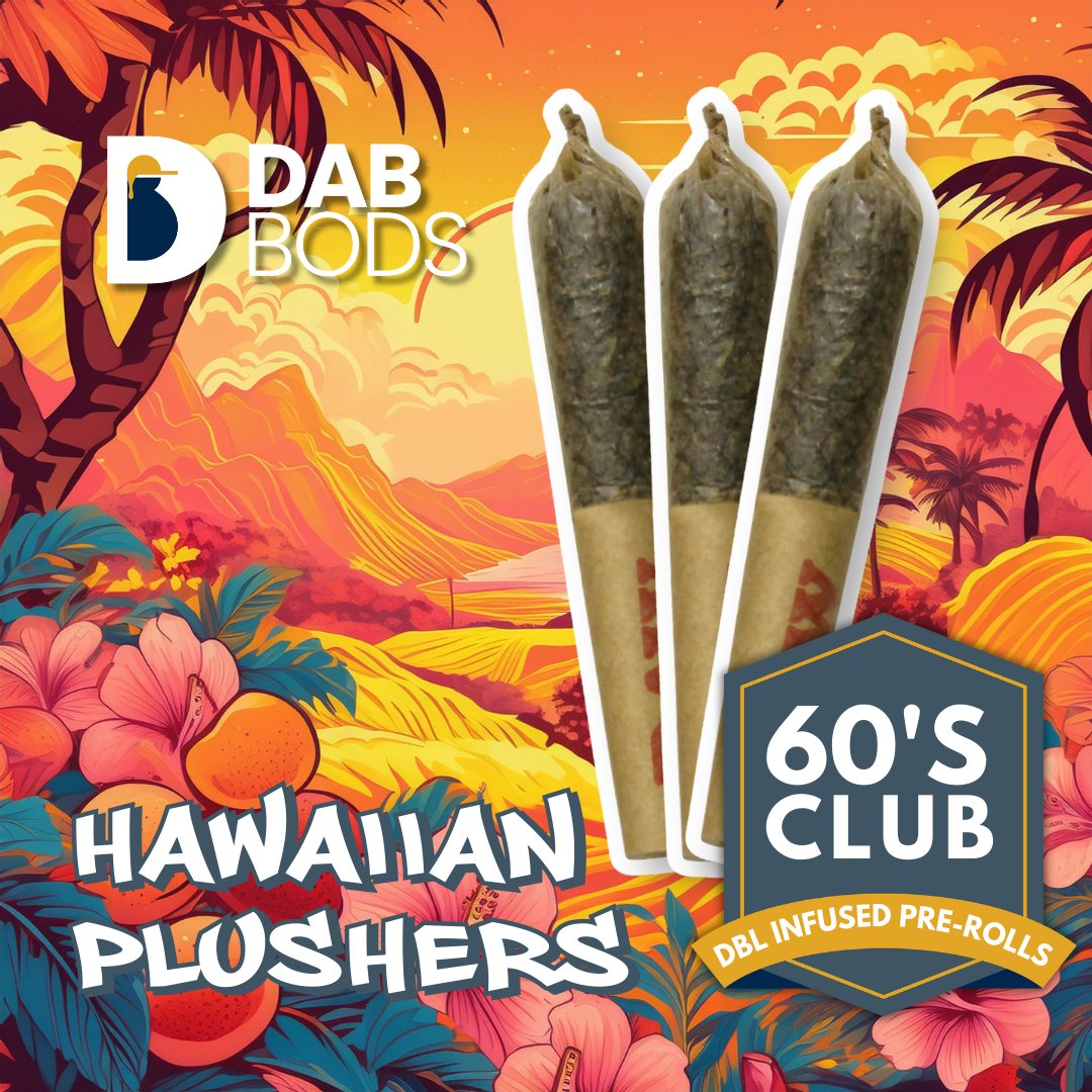 Dab Bods Hawaiian Plushers 60's+ Dbl Infused Pre-Rolls-01