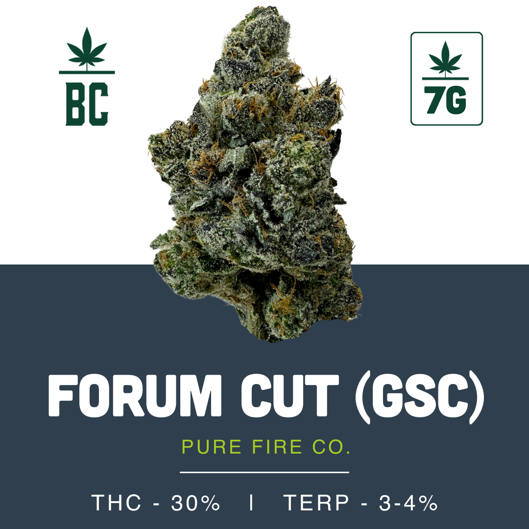 Forum Cut (GSC)-03
