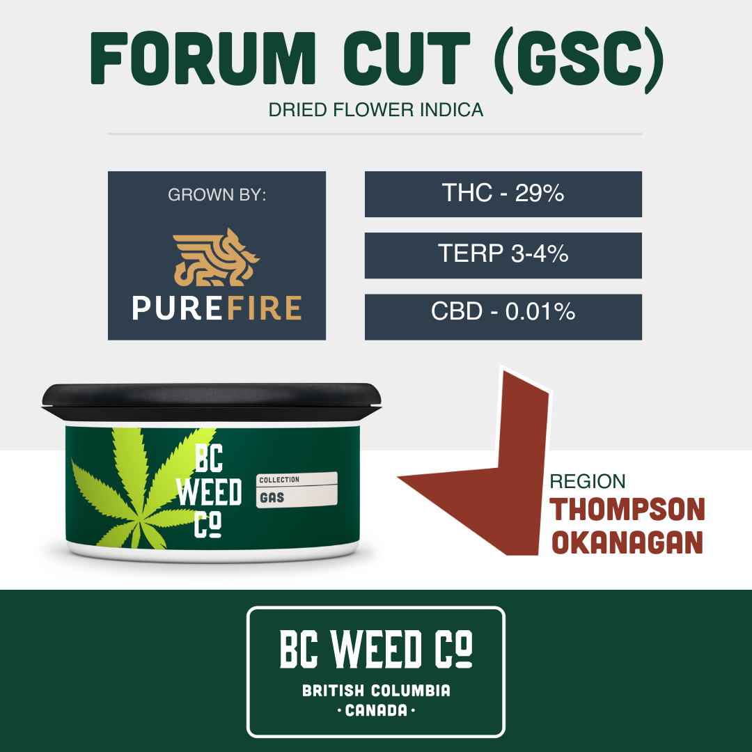 Forum Cut (GSC)-02