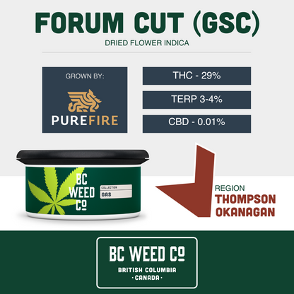 Forum Cut (GSC)-02