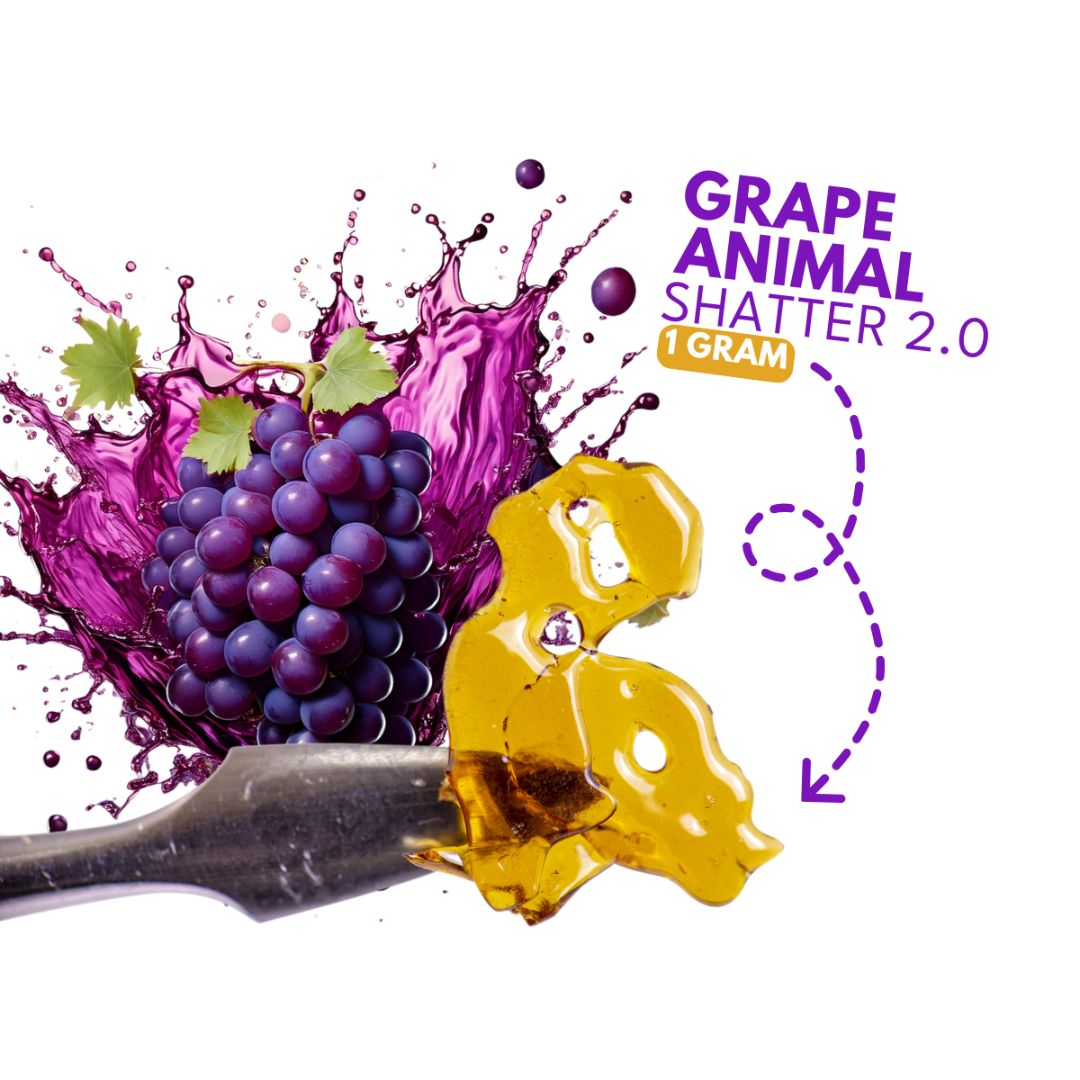 Dab Bods Grape Animal Shatter 2.0-01