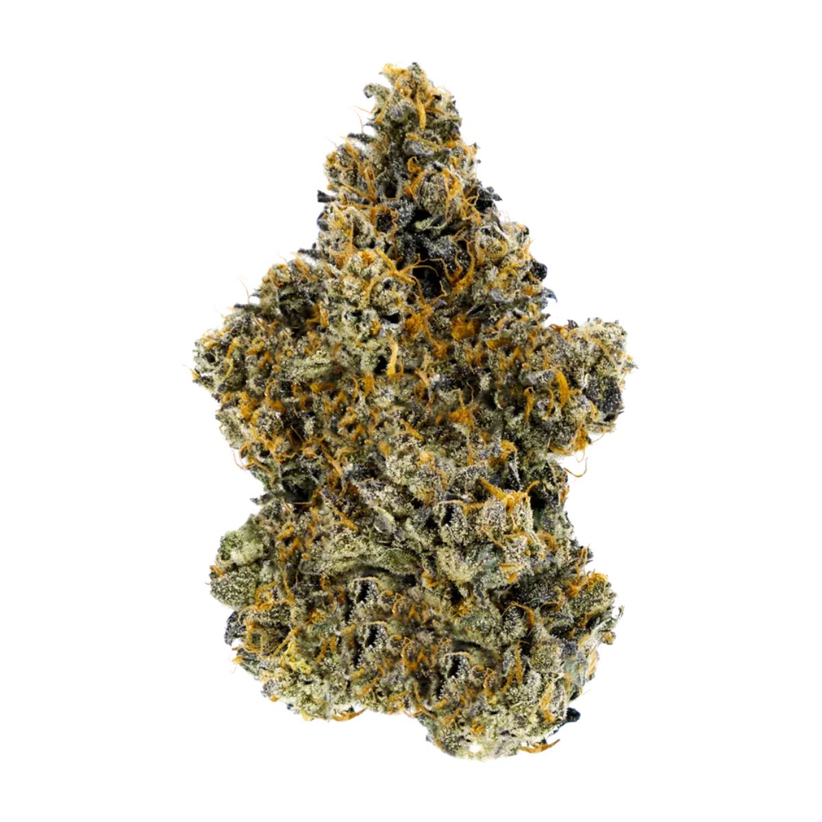 Guava Biscotti-01