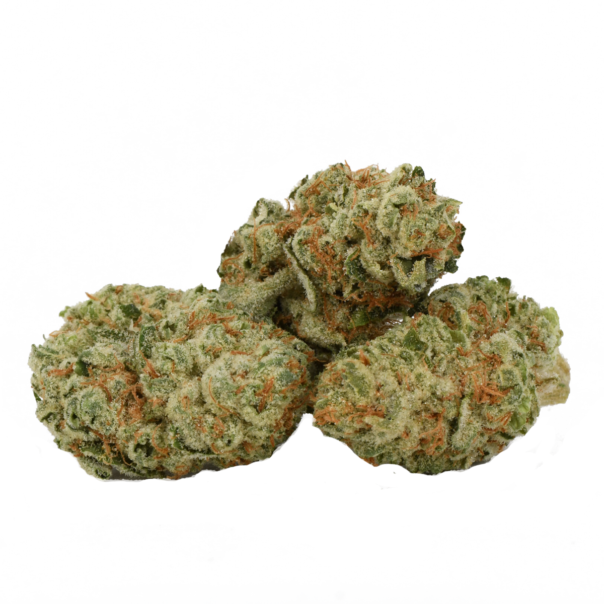 Middelburg Hybrid-01