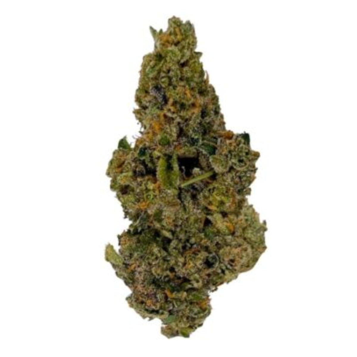 Hippie Pop Smalls-01