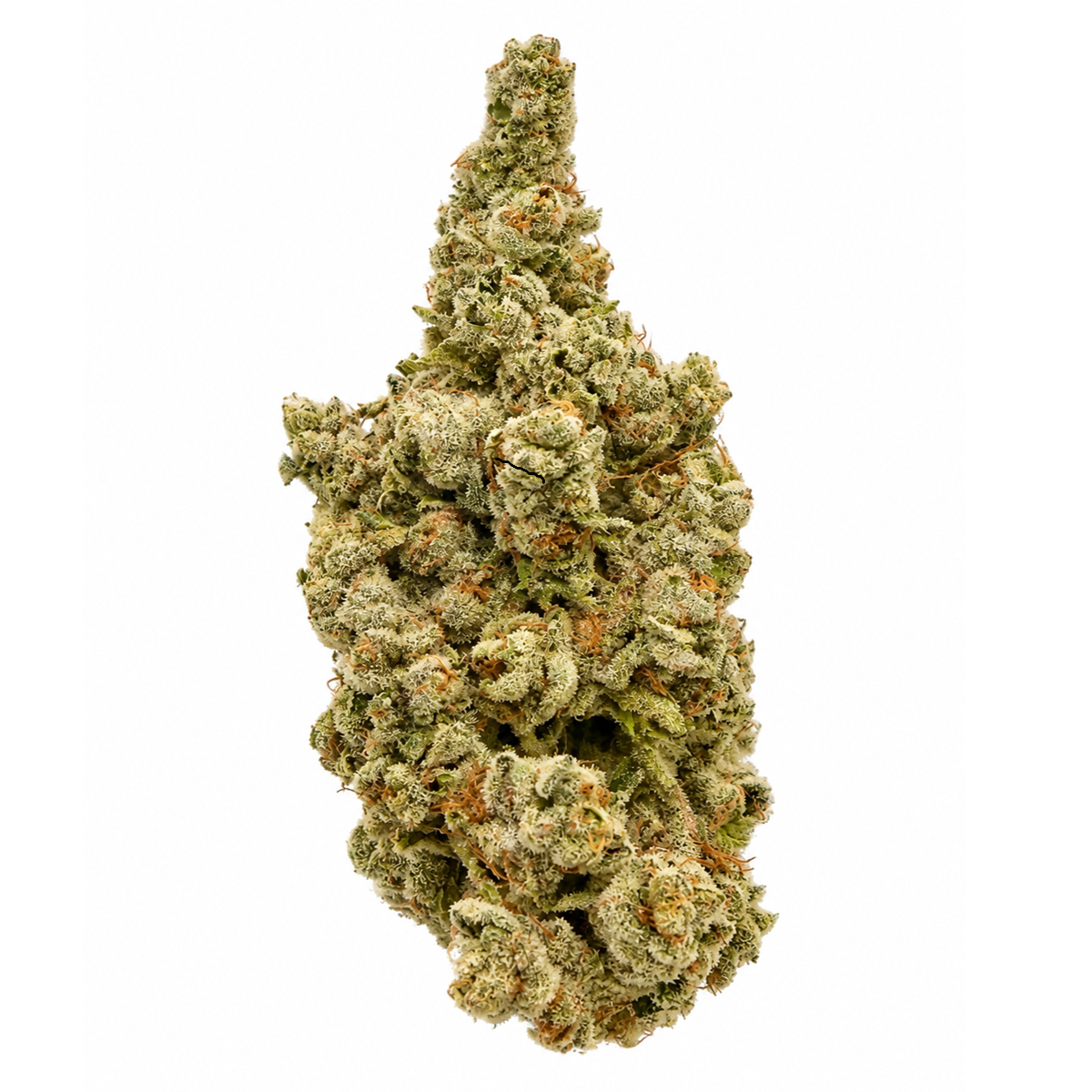 Hulkamania-01