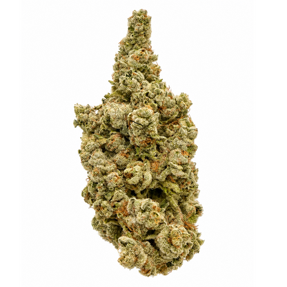 Hulkamania-01