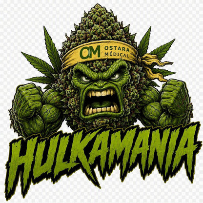 Hulkamania-02