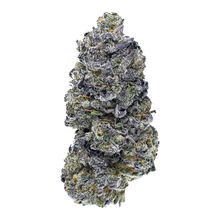 Load image into Gallery viewer, Jager-01
