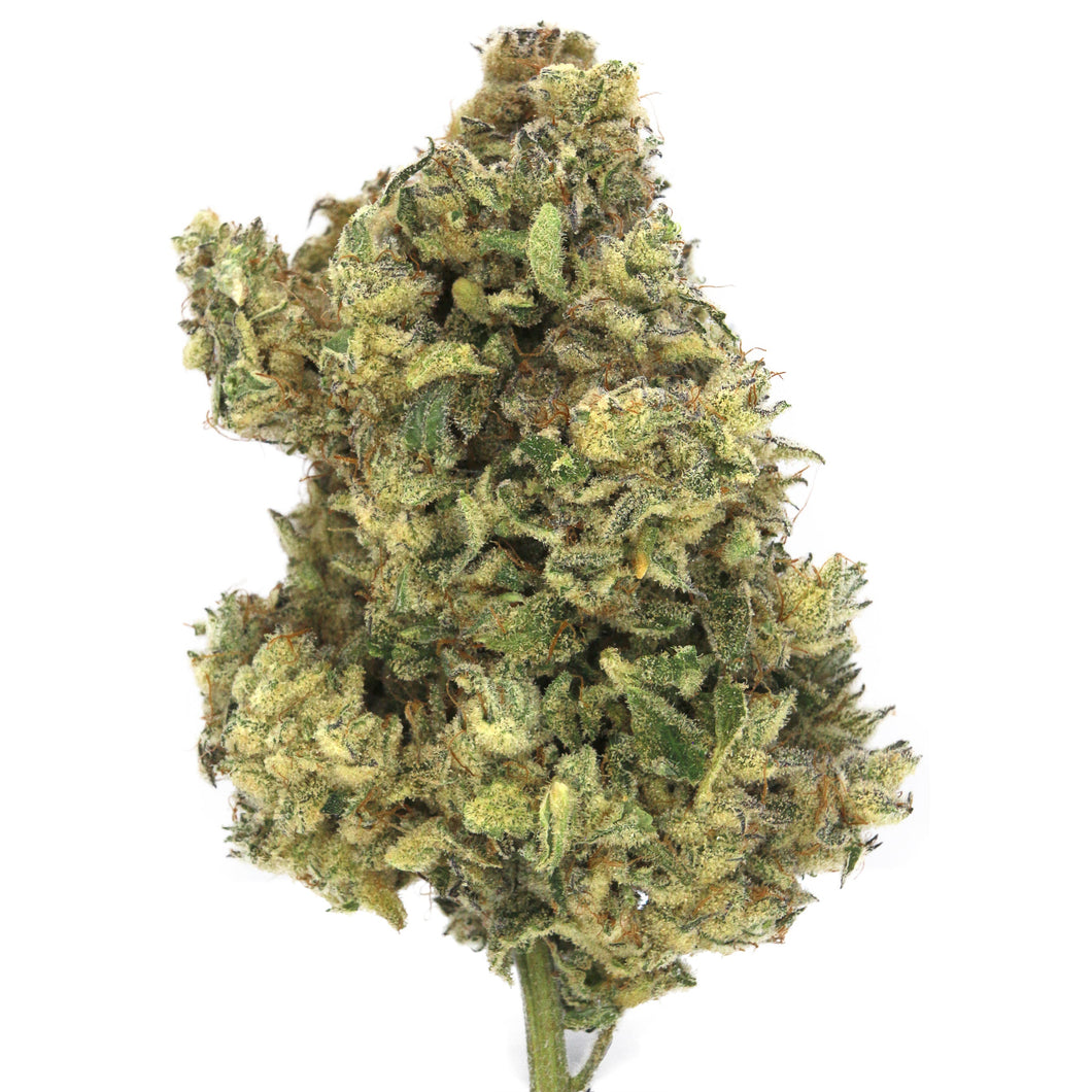Khalifa Mints-01