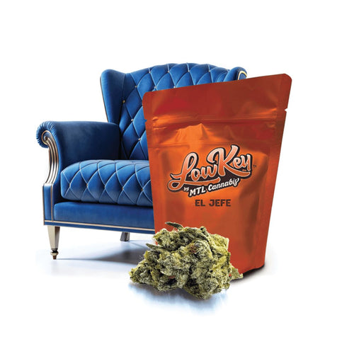 LowKey El Jefe-01