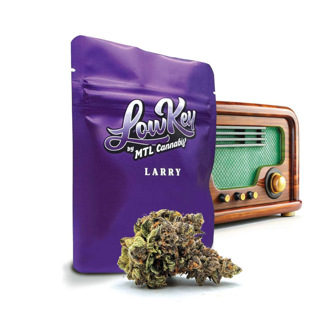 LowKey Larry-01