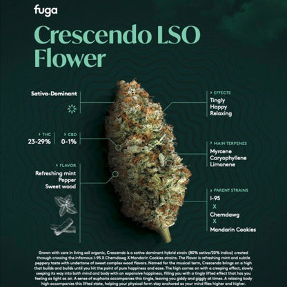 Crescendo-07
