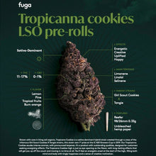 Load image into Gallery viewer, Tropicanna Cookies Pre-Rolls-03
