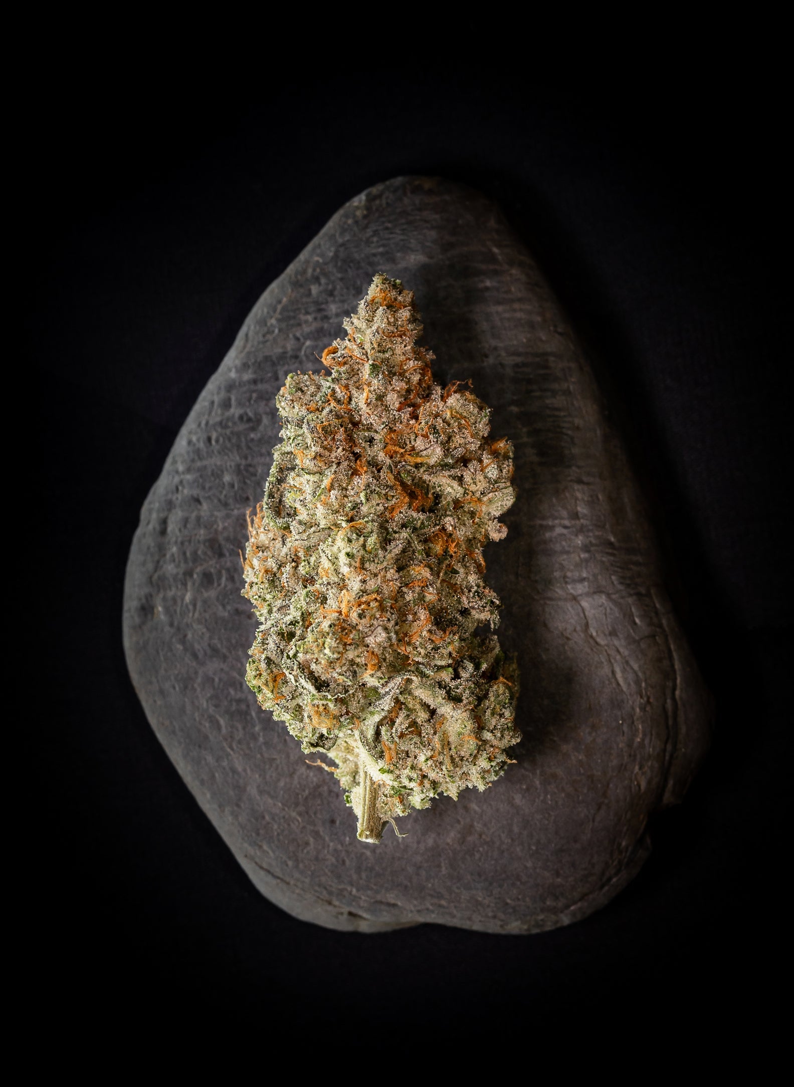 Mendoz Stomper-05