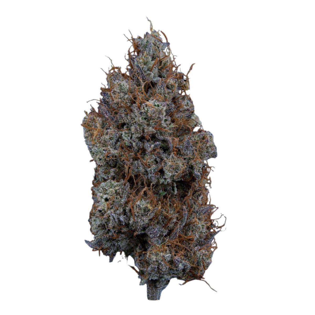 Mystic Mountain 1:1-01
