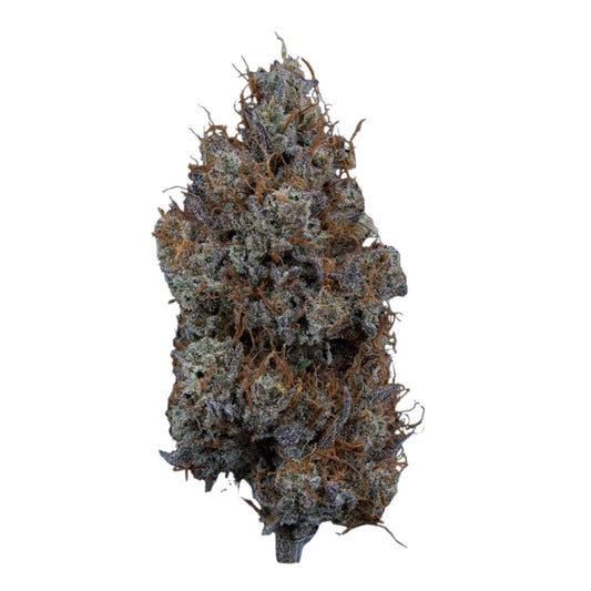 Mystic Mountain 1:1-01