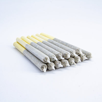 PINNRZ Yellow-01