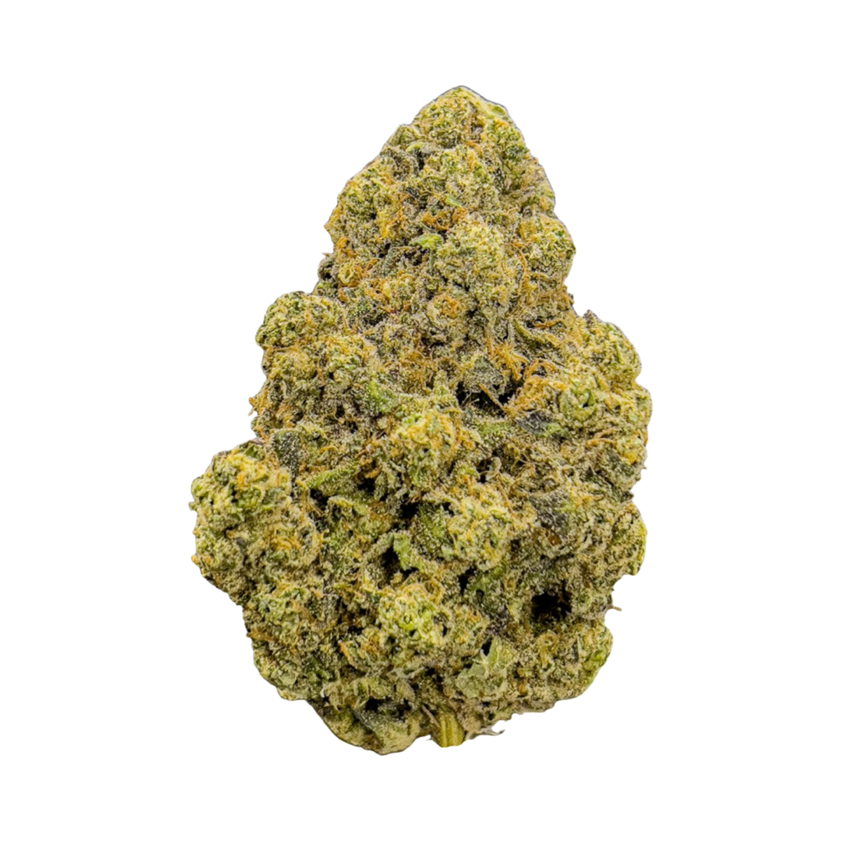 Lemon Meringue Whole Flower-01
